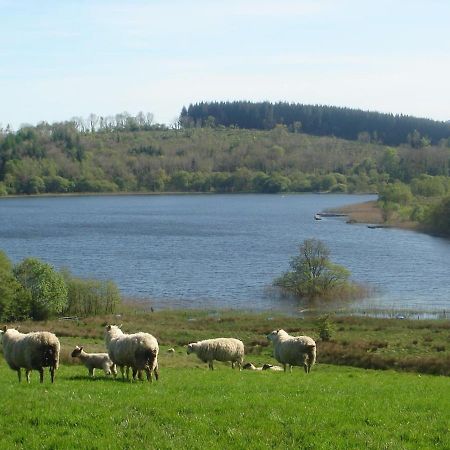 Moybrone Flat Enniskillen Exterior photo